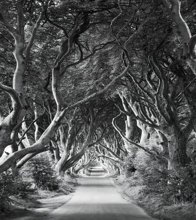 Fotobehang - Forevenue 250x280cm - Vliesbehang