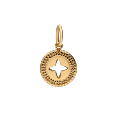 Lucardi Dames Stainless steel goldplated hanger ster voor dames - Hanger - Staal - Goudkleurig