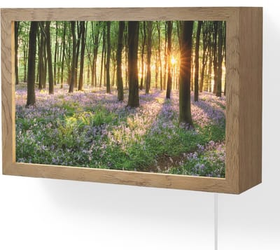 Wandlamp 30x20 cm - Oplaadbaar - Bos - Bloemen - Lavendel - Zon - Paars - Natuur - Wandlampen binnen woonkamer - Slaapkamer lamp met kabel - Decoratieve nachtlamp - Vloerlamp snoer