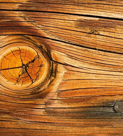 Fotobehang - Wood Knot 225x250cm - Vliesbehang