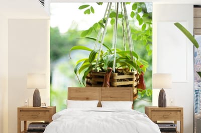 Behang - Fotobehang Hangplant met vleesetende planten - Breedte 190 cm x hoogte 260 cm