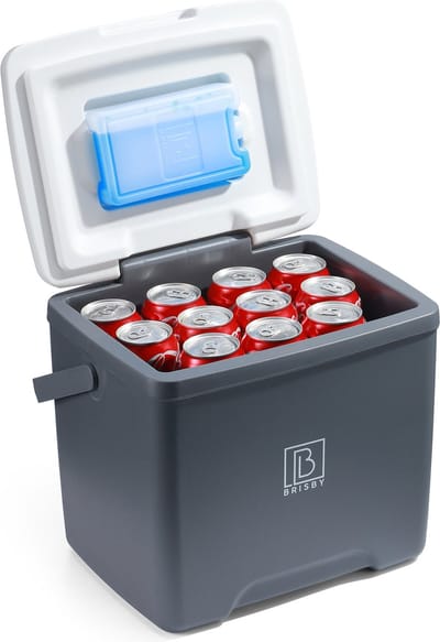 Brisby Koelbox 13 Liter – Grijs – Tot 40 uur isolatie – 2 koelelementen vergrendeld in deksel – Compacte koelbox voor auto en camping – Frigobox