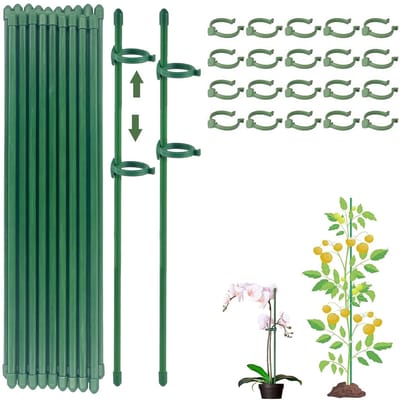 Dailygoods- Plantensteun 80 stuks - Plantensteunen voor kamerplanten - Klimhulp - Plantensteun halfrond - Plantenhouder - Plantenstok voor orchideeën