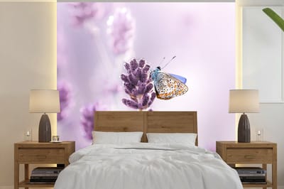 Behang - Fotobehang Lavendel - Vlinder - Close-up - Paars - Breedte 240 cm x hoogte 240 cm