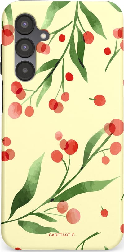 Casetastic Hoesje Geschikt voor Samsung A16 - Stijlvolle Beschermende Duo-layer Case - Watermeloen