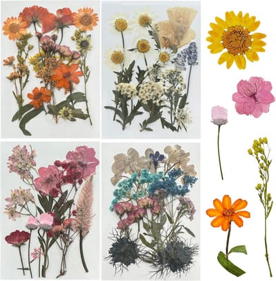 60 stuks natuurlijke gedroogde bloemen voor hars, scrapbooking en creatieve doe-het-zelfprojecten