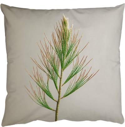 Sierkussens - Kussentjes Woonkamer - 50x50 cm - Dennentak - Naaldvormige bladeren - Lichtgroen