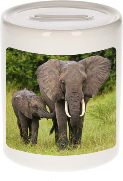 Dieren olifant foto spaarpot 9 cm jongens en meisjes - Cadeau spaarpotten olifanten liefhebber