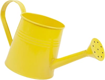 Gieter metaal - Waterkruik planten - Planten water geven - Lange smalle uitloop - 1 liter - Geel