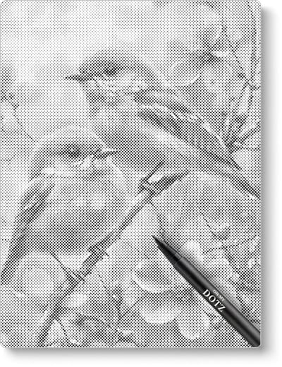 2 Vinken | Dot painting | 40x50cm | Dot painting | Oh My Dotz | Dots stippen | Diamond painting & Schilderen op nummer alternatief | Happy hobby