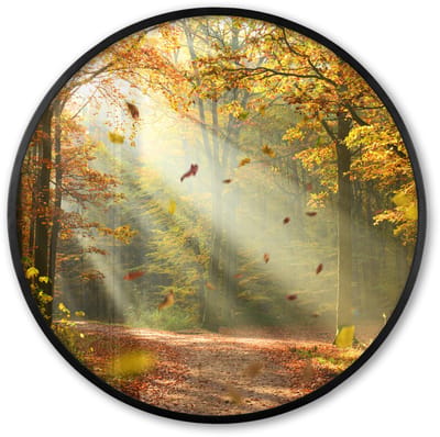 Poster in lijst Rond - Fotolijst 60x60 cm - Posters - Bos - Bomen - Herfst - Zon - Herfstbladeren - Natuur - Ronde posterlijst zwart - Decoratie - Wanddecoratie woonkamer - Muurdecoratie slaapkamer