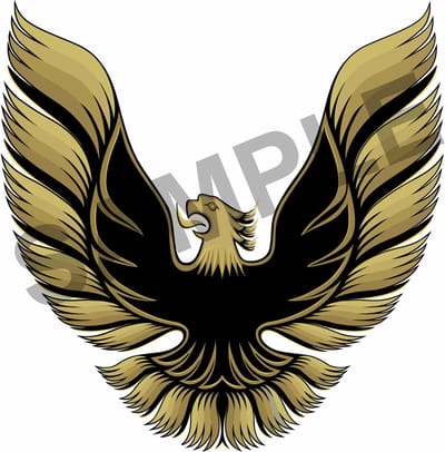 Pontiac Transam 1978-1981 Zijstickers Firebird replika goud look