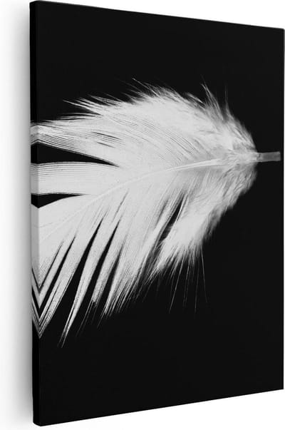 Artaza Canvas Schilderij Veer - 40x50 cm - Muurdecoratie Stilleven - Wanddecoratie Minimalistisch - Schilderijen Op Canvas