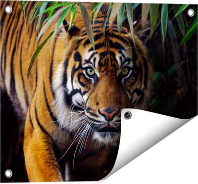 Gards Tuinposter Tijger in de Jungle - 50x40 cm - Tuindoek - Tuindecoratie - Wanddecoratie buiten - Tuinschilderij