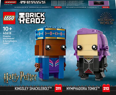 LEGO Harry Potter 40618, Bouwpakket, 10 jaar, Kunststof, 250 stuk(s), 253 g