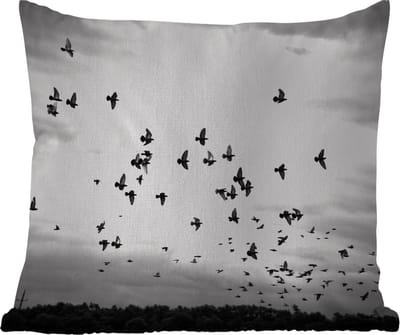 Tuinkussen - Dieren - Vogels - Wolken - Zwart - Wit - 40x40 cm - Weerbestendig