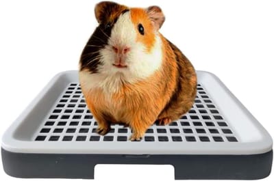 Litterbox voor Cavia's en Ratten met Rooster, Hoektoilet voor Knaagdieren en Chinchilla's, Ideaal voor Training en Hygiëne