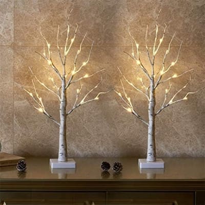 Lichtjesboom, set van 2 stuks, lichttakken voor binnen, met 24 leds warmwit, berkenboompje, 60 cm, decoratieve takken, werkt op batterijen, kerstdecoratie voor thuis, feest, verjaardag