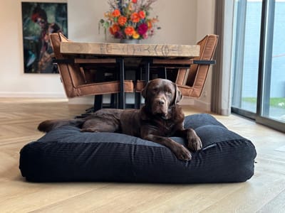 Dog's Companion - Hondenkussen / Hondenbed zwart double ribcord - XS - 55x45cm