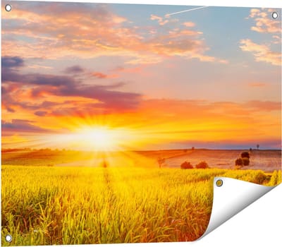 Gards Tuinposter Zonsopgang op het Ma�sveld - 80x60 cm - Tuindoek - Tuindecoratie - Wanddecoratie buiten - Tuinschilderij