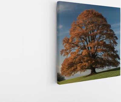 Saammp Canvas Schilderij - Grote Boom op berg - Natuur - Landschap - 20x20 - Foto op canvas - Wanddecoratie - Muurdecoratie Woonkamer - Slaapkamer decoratie - Canvas Print