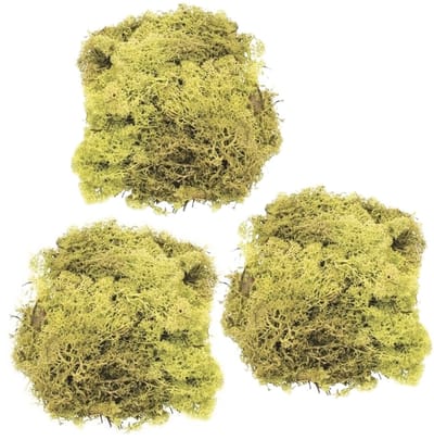 Decoratie nep mos - 3x - lichtgroen - 50 gram - Hobby/knutselen - herfst/kerst thema decoreren - nature