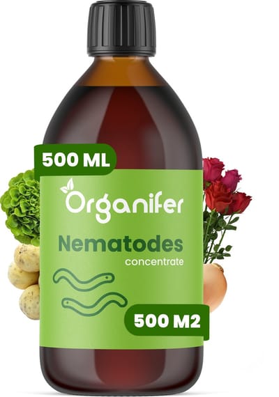 Nematoden - Bodemaaltjes Concentraat (500ml, 500m2) - Nematodes - Aaltjes - Rozenziektes Bestrijden - Wortelaaltjes - Aardappelcysteaaltjes - Bietencysteaaltjes - Voorkomt en geneest - Organifer