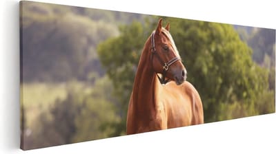 Artaza Canvas Schilderij Paarden - 60x20 cm - Muurdecoratie Natuur - Wanddecoratie Woonkamer - Kamer Accessoires