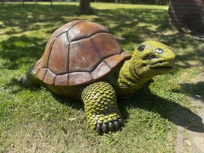 Goodyz- Reptielen - Schildpadden - Schildpad - Reuze Schildpad - natuurlijke kleur - 130cm lang