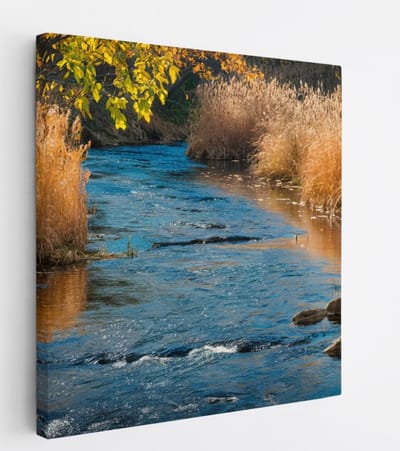 Saammp Canvas Schilderij - Beek - Landschap - Natuur - 20x20 - Foto op canvas - Wanddecoratie - Muurdecoratie Woonkamer - Slaapkamer decoratie - Canvas Print