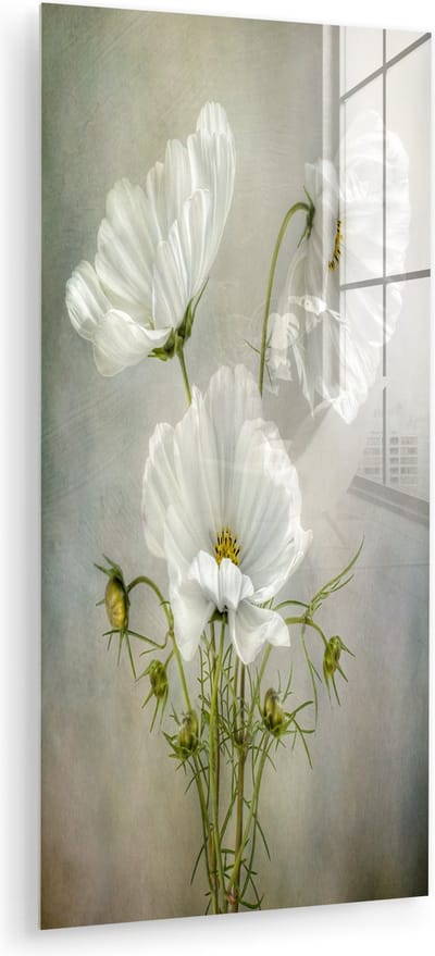MuchoWow® Glasschilderij 60x120 cm - Schilderij acrylglas - Bloemen - Stilleven - Klaproos - Wit - Botanisch - Foto op glas - Muurdecoratie woonkamer - Wanddecoratie slaapkamer - Schilderijen