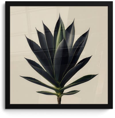 Poster in lijst - Fotolijst 40x40 cm - Posters - Agaveplant - Symmetrisch - Groen - Posterlijst zwart - Decoratie - Wanddecoratie woonkamer - Muurdecoratie slaapkamer