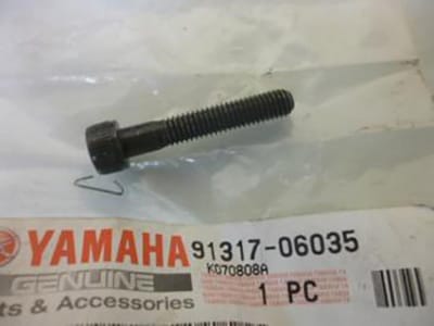 Schroeven en bouten voor Yamaha 1100 Virago 91317-06035 Gloednieuw