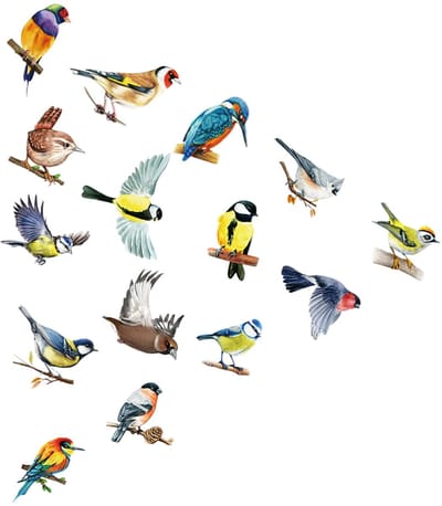 Dailygoods- Raamstickers Vogels - Dubbelzijdig en zelfklevend - Raamdecoratie - Vogelbescherming - Anticollisiefilm - Kleur: Gekleurd - Materiaal: PVC