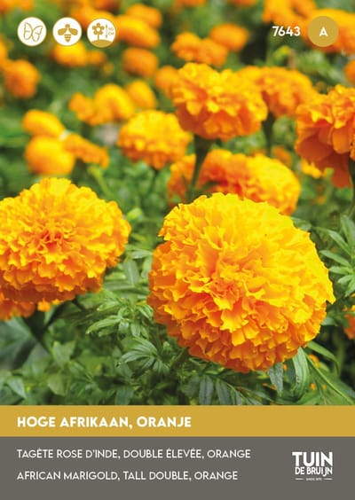 Tuin de Bruijn® zaden Afrikaan hoog Hawaii oranje
