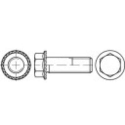 TOOLCRAFT 161378 Borgschroeven M6 18 mm Buitenzeskant Staal 500 stuk(s)