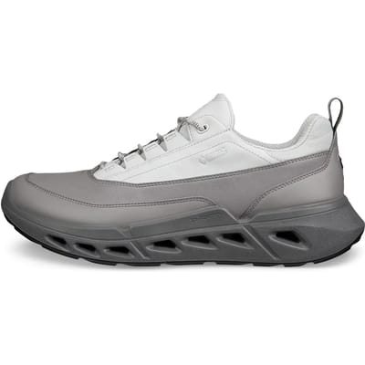 Baskets Ecco Biom 720 Low GTXS Lea