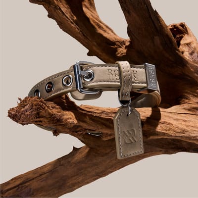 Rough Rough Leren Hondenhalsband - Zachte Halsband voor Kleine Hond en Puppy - Leer (vegan) - Beige maat S