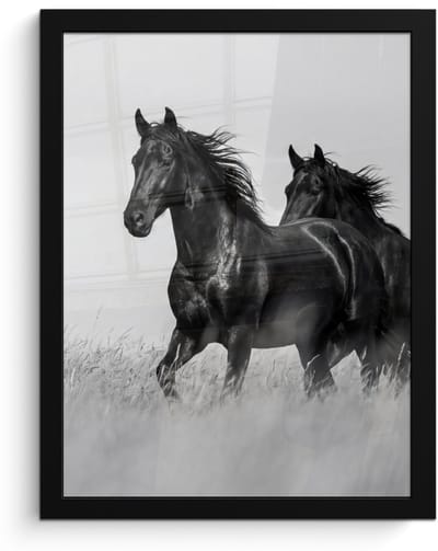 Poster in lijst - Fotolijst 30x40 cm - Posters - Paarden - Gras - Zwart - Wit - Posterlijst zwart - Decoratie - Wanddecoratie woonkamer - Muurdecoratie slaapkamer