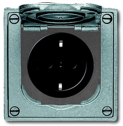ABB Busch-Jaeger All-weather IP44 Wandcontactdoos (schakelmateriaal)
