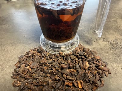 Cascara Colombia Argote direct trade (100 gram)