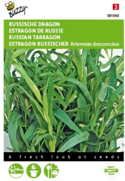 2 stuks Russische Dragon (Artemisia dracunculus)