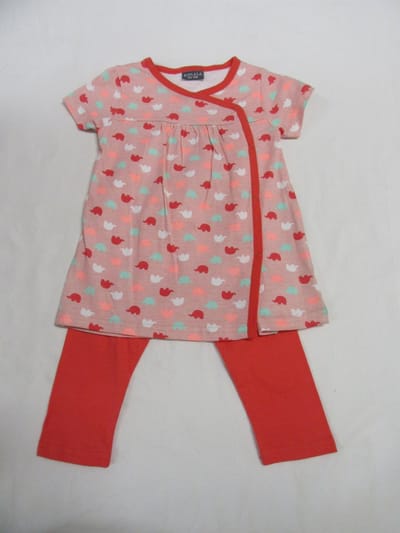 wiplala, kledingset, kleedje+ legging , rose , olifant