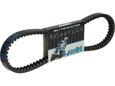 Courroie de transmission Polini pour Scooter Gilera 50 DNA 1996 à 1999 248.056 Neuf