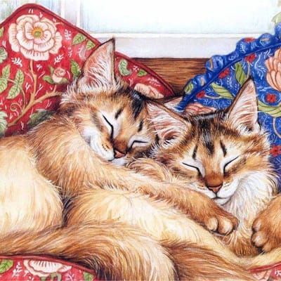 5D Diy Kat Cartoon Broderies Diamanten Gift Dier Diamant Mozaïek Schilderij Volledige Diamant Borduren 20X30 beige