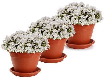 Plasticforte 3x plantenpot met opvang schaal - terracotta - rond - D30 x H23 cm - kunststof - buiten - tuin - bloempot