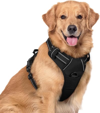 Hondentuig - Tuig Voor Honden Tegen Trekken - TENZHVXI® - Dubbele Metalen Lijmringen En Top Handvat - Verstelbare Zachte Voering Met Reflectie - Polyester Oxford Mesh M Zwart - 1 Stuk