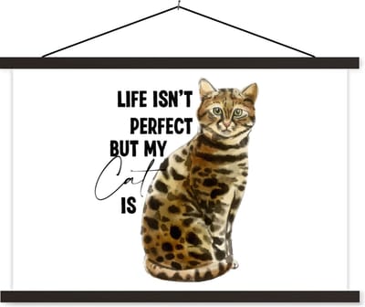 Posterhanger incl. Poster 60x40 cm - Schoolplaat - Katten - Spreuken - Quotes - Life isn't perfect but my cat is - Textielposter - Zwarte latten