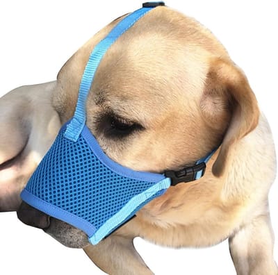 Ademende Hond Muilkorf - Zachte Net Bescherming - Veilig Wandelen - Verstelbaar Comfort - Maat M - Blauw