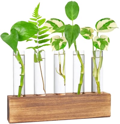 Dailygoods - Prorette Hwtcjx Bloemenvaas met houten standaard, kweekstation, moderne set voor hydrocultuur, tafel, thuis, kantoor, woonkamer, keuken, decoratie (5 flessen)